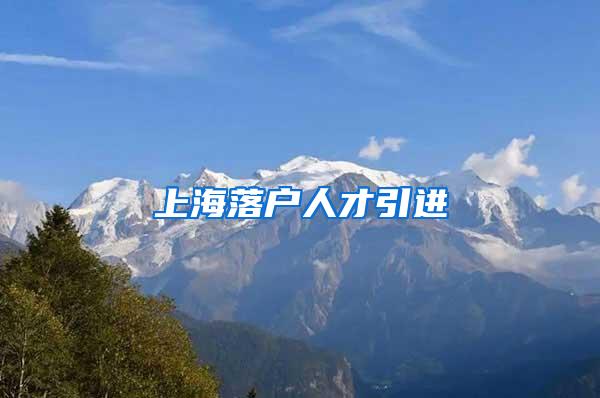 上海落户人才引进