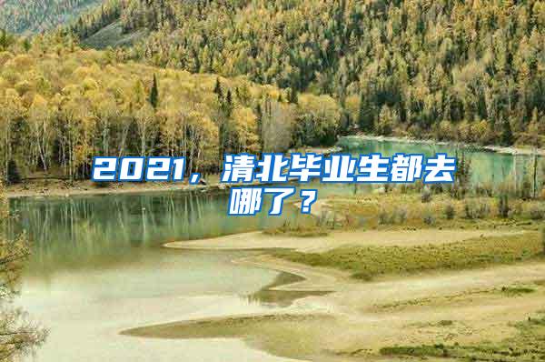 2021，清北毕业生都去哪了？