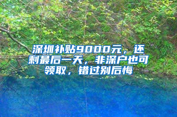 深圳补贴9000元，还剩最后一天，非深户也可领取，错过别后悔