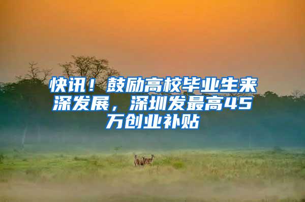 快讯！鼓励高校毕业生来深发展，深圳发最高45万创业补贴