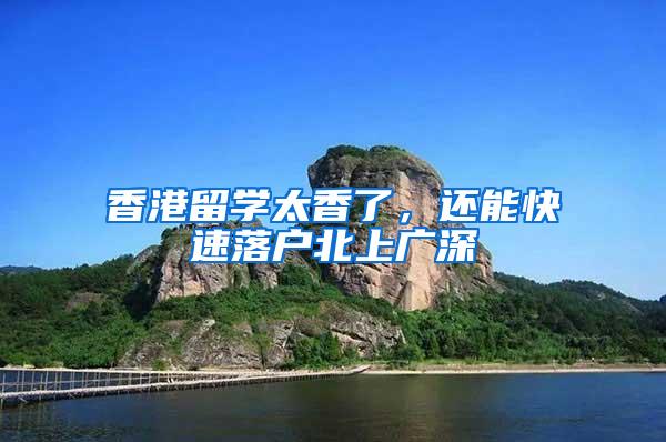 香港留学太香了，还能快速落户北上广深