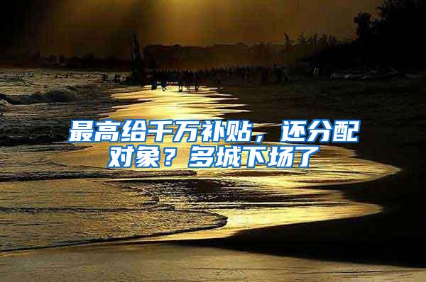 最高给千万补贴，还分配对象？多城下场了