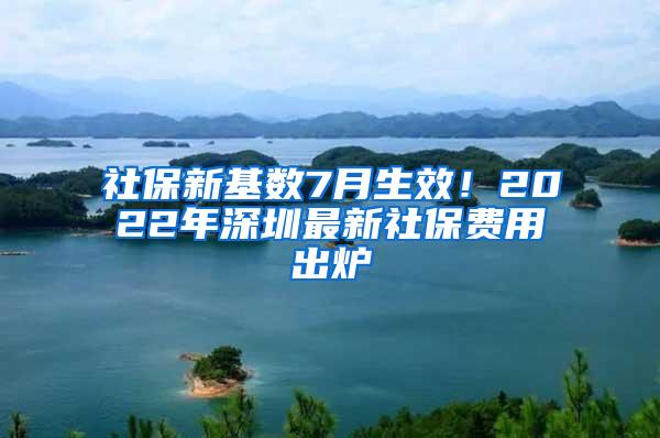社保新基数7月生效！2022年深圳最新社保费用出炉