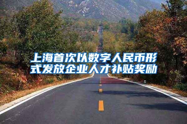 上海首次以数字人民币形式发放企业人才补贴奖励