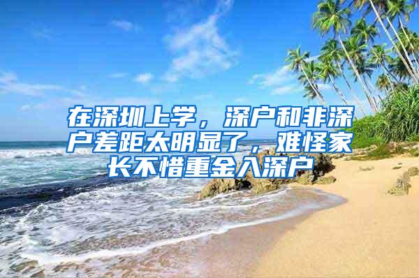 在深圳上学，深户和非深户差距太明显了，难怪家长不惜重金入深户