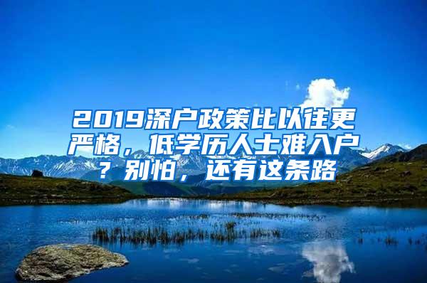 2019深户政策比以往更严格，低学历人士难入户？别怕，还有这条路