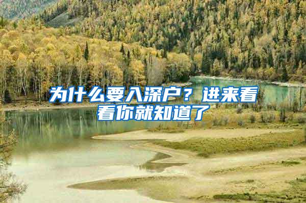 为什么要入深户？进来看看你就知道了