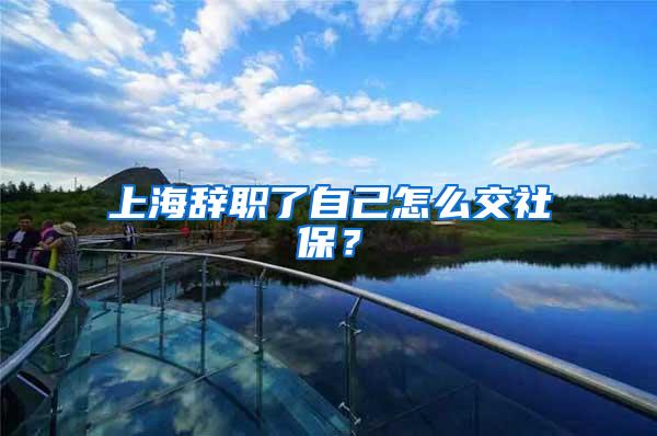 上海辞职了自己怎么交社保？