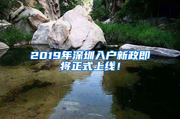 2019年深圳入户新政即将正式上线！
