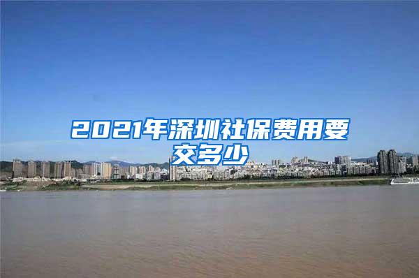 2021年深圳社保费用要交多少