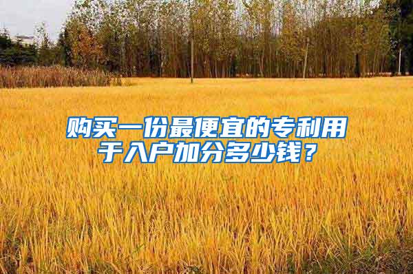 购买一份最便宜的专利用于入户加分多少钱？