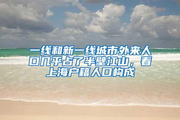 一线和新一线城市外来人口几乎占了半壁江山，看上海户籍人口构成