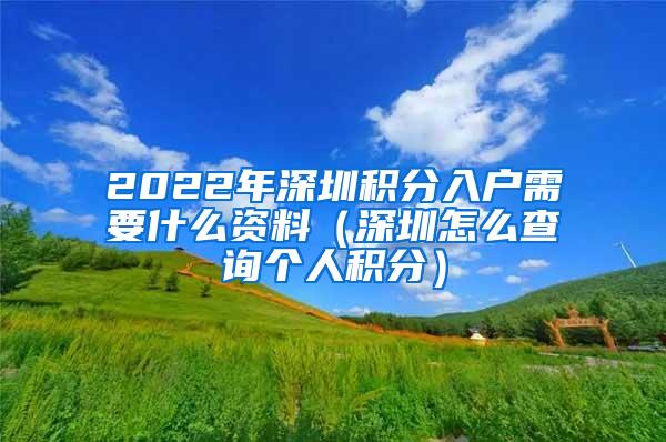 2022年深圳积分入户需要什么资料（深圳怎么查询个人积分）