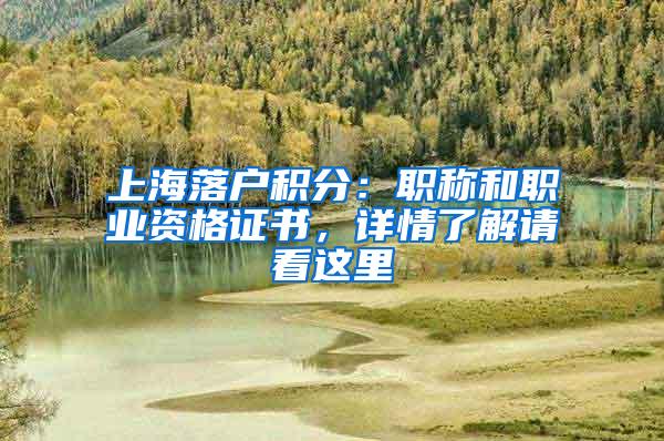 上海落户积分：职称和职业资格证书，详情了解请看这里