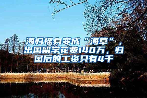 海归摇身变成“海草”，出国留学花费140万，归国后的工资只有4千