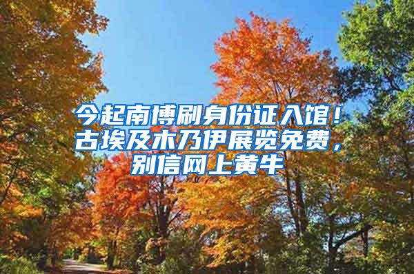 今起南博刷身份证入馆！古埃及木乃伊展览免费，别信网上黄牛