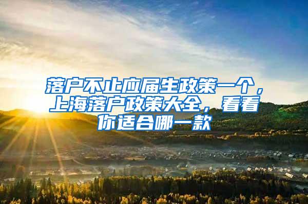 落户不止应届生政策一个，上海落户政策大全，看看你适合哪一款
