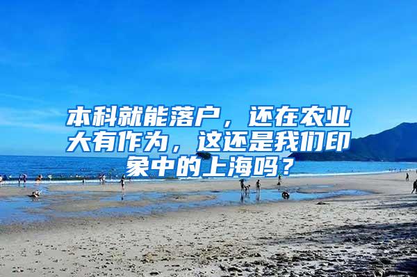本科就能落户，还在农业大有作为，这还是我们印象中的上海吗？