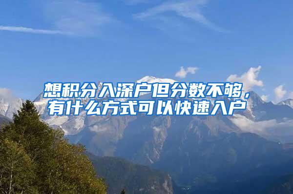 想积分入深户但分数不够，有什么方式可以快速入户