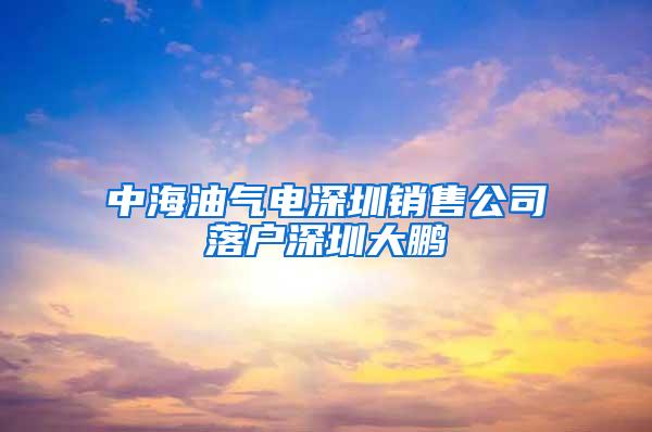 中海油气电深圳销售公司落户深圳大鹏