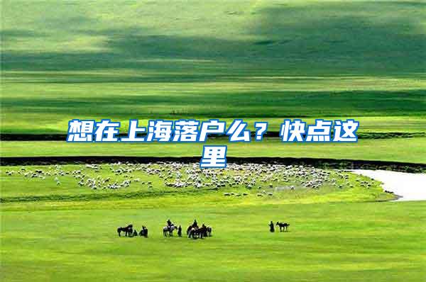 想在上海落户么？快点这里