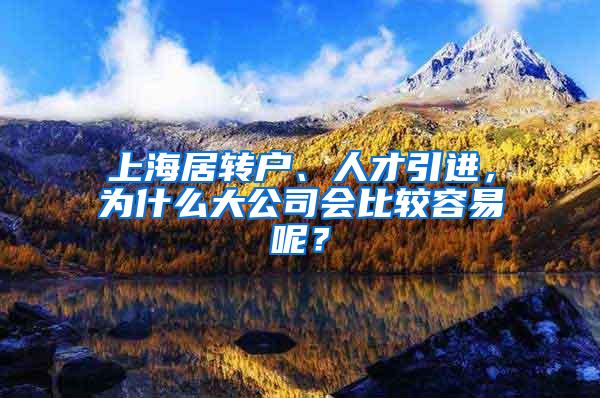 上海居转户、人才引进，为什么大公司会比较容易呢？