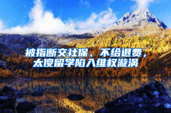 被指断交社保、不给退费，太傻留学陷入维权漩涡