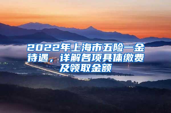 2022年上海市五险一金待遇，详解各项具体缴费及领取金额