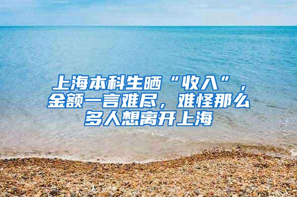 上海本科生晒“收入”，金额一言难尽，难怪那么多人想离开上海