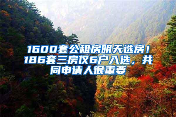 1600套公租房明天选房！186套三房仅6户入选，共同申请人很重要