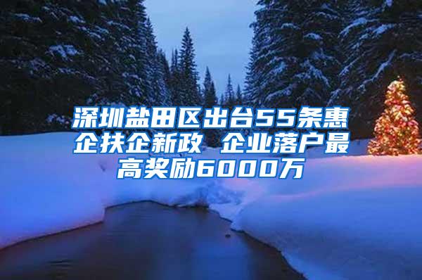 深圳盐田区出台55条惠企扶企新政 企业落户最高奖励6000万