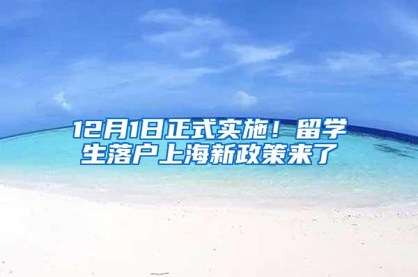 12月1日正式实施！留学生落户上海新政策来了