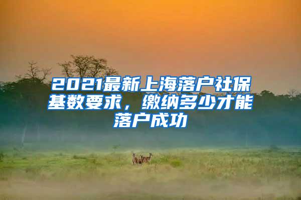 2021最新上海落户社保基数要求，缴纳多少才能落户成功