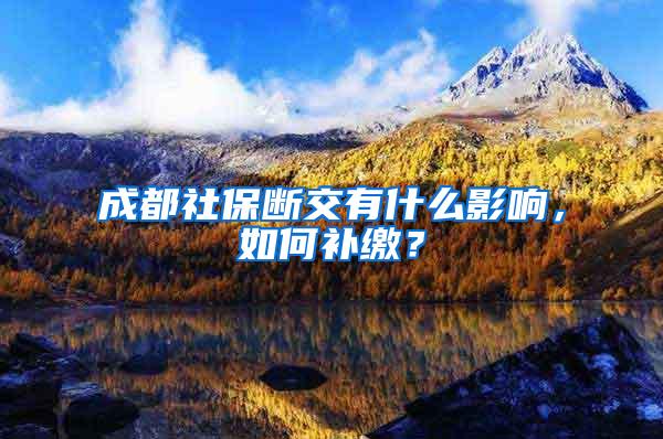 成都社保断交有什么影响，如何补缴？