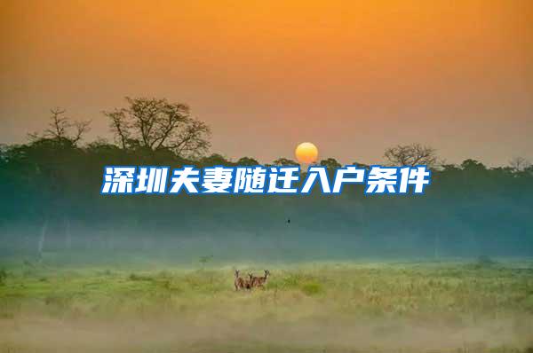 深圳夫妻随迁入户条件