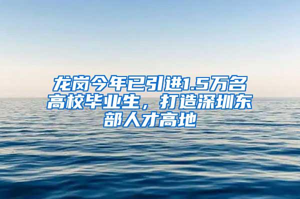 龙岗今年已引进1.5万名高校毕业生，打造深圳东部人才高地