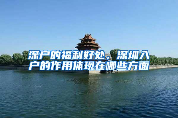 深户的福利好处，深圳入户的作用体现在哪些方面