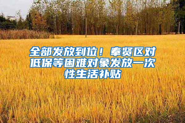 全部发放到位！奉贤区对低保等困难对象发放一次性生活补贴