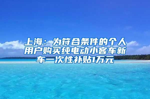 上海：为符合条件的个人用户购买纯电动小客车新车一次性补贴1万元