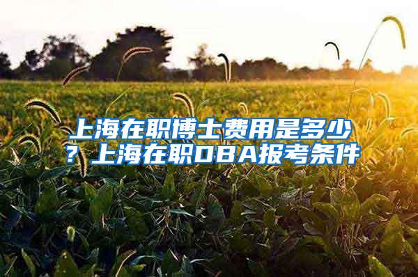 上海在职博士费用是多少？上海在职DBA报考条件
