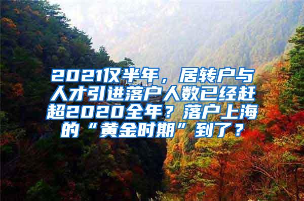 2021仅半年，居转户与人才引进落户人数已经赶超2020全年？落户上海的“黄金时期”到了？
