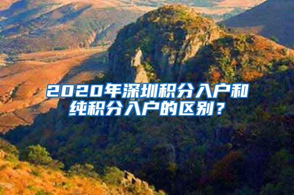 2020年深圳积分入户和纯积分入户的区别？