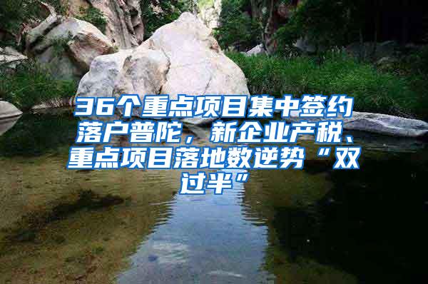 36个重点项目集中签约落户普陀，新企业产税、重点项目落地数逆势“双过半”