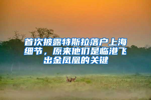 首次披露特斯拉落户上海细节，原来他们是临港飞出金凤凰的关键