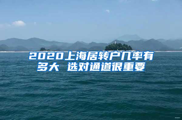 2020上海居转户几率有多大 选对通道很重要