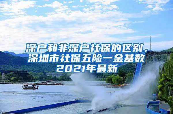 深户和非深户社保的区别，深圳市社保五险一金基数2021年最新