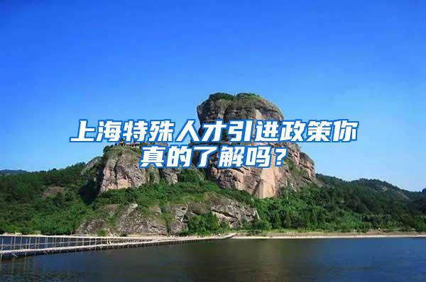 上海特殊人才引进政策你真的了解吗？