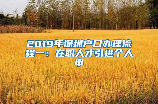 2019年深圳户口办理流程一：在职人才引进个人申