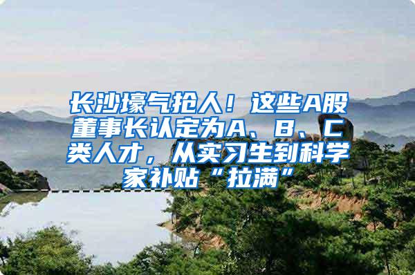 长沙壕气抢人！这些A股董事长认定为A、B、C类人才，从实习生到科学家补贴“拉满”