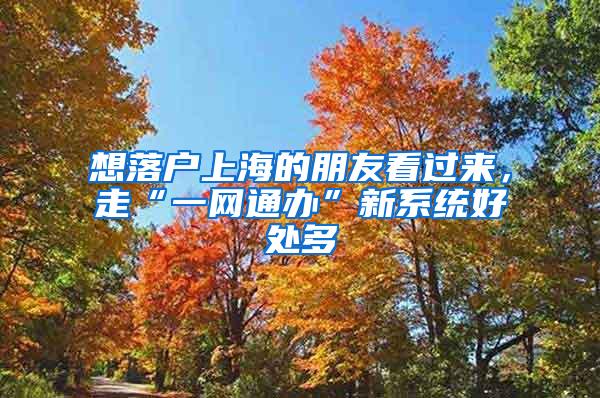 想落户上海的朋友看过来，走“一网通办”新系统好处多